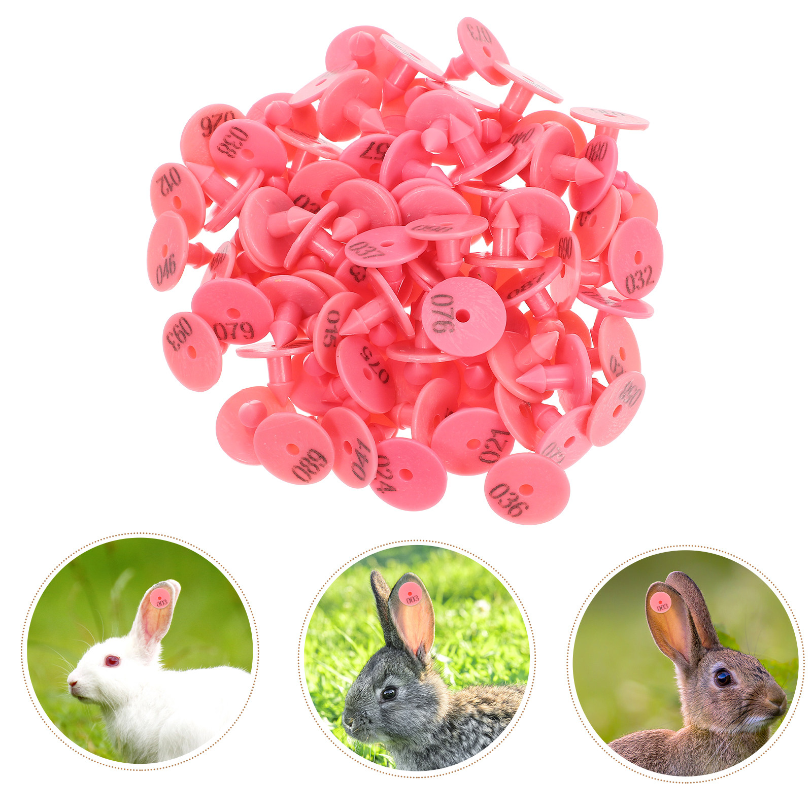 Livestock Ear Tag - 100個入り 番号付きウサギ耳タグ 鮮やかな色 耐候性 小型動物 ペット