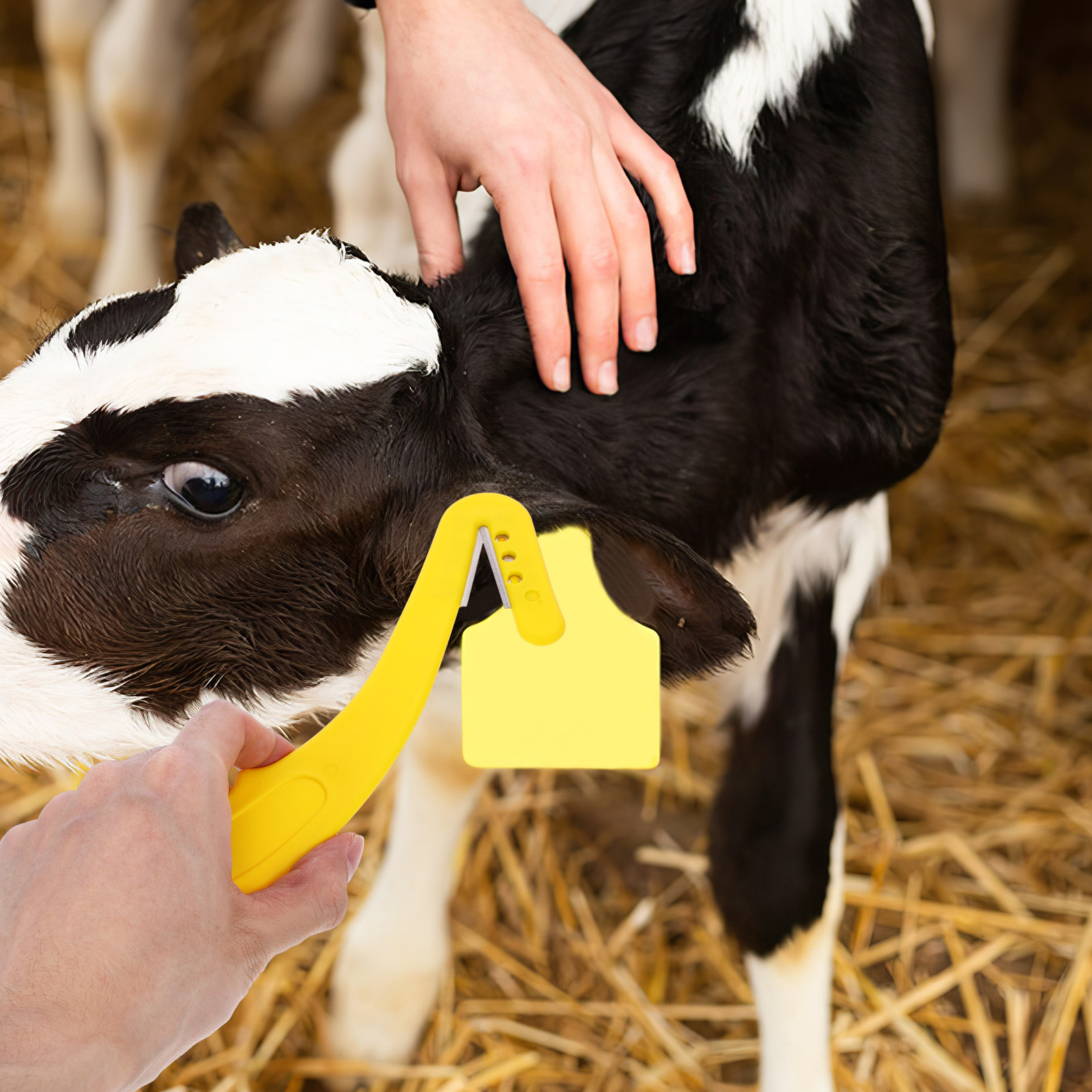 Livestock Ear Tag - 2個入りイヤータグ除去ツール 人間工学に基づいた家畜タグカッター 牛、羊、山羊、豚のイヤータグ除去ツール