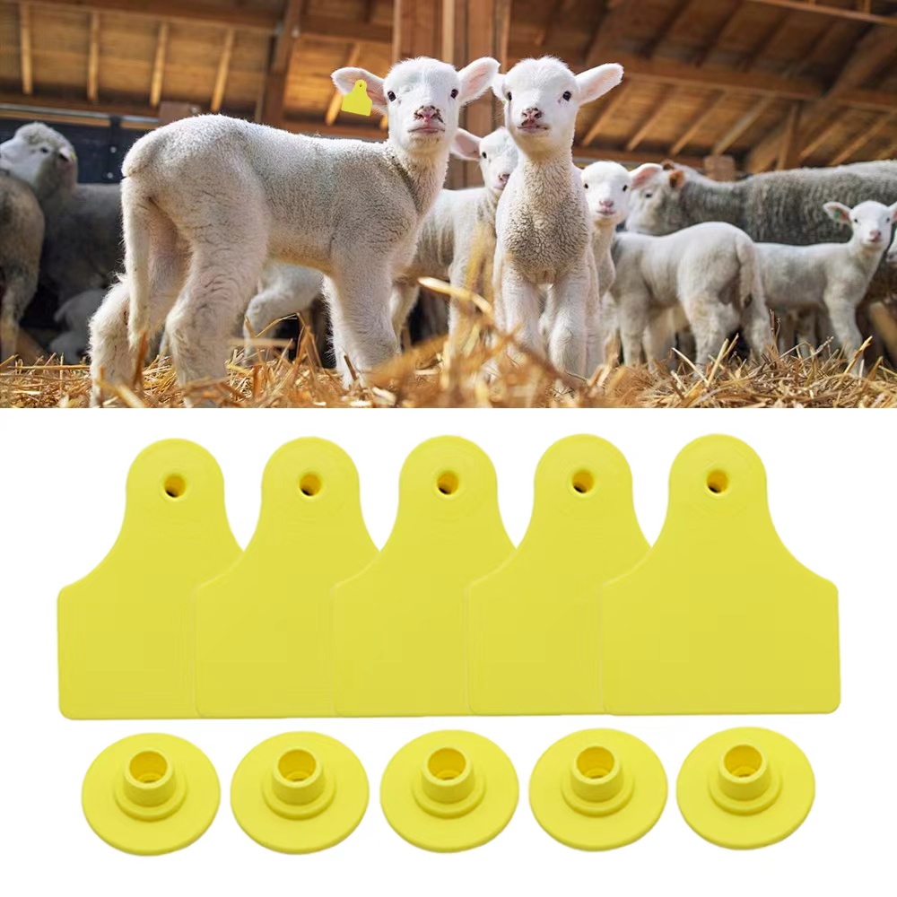 Livestock Ear Tag - 20個 40*50mm ヤギ、羊、牛、豚用の無地の耳タグ 家畜識別用TPU精密耳ラベル 家畜マーカー