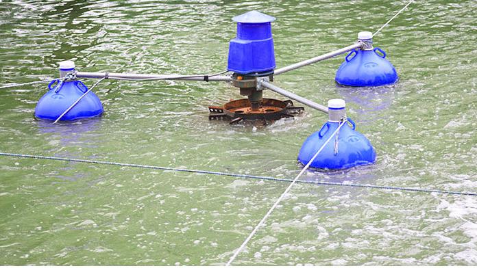 3馬力業務用養殖魚エビ池用エアレーター（オプションでスパイラ - Fish Pond Aerator のレビューと価格