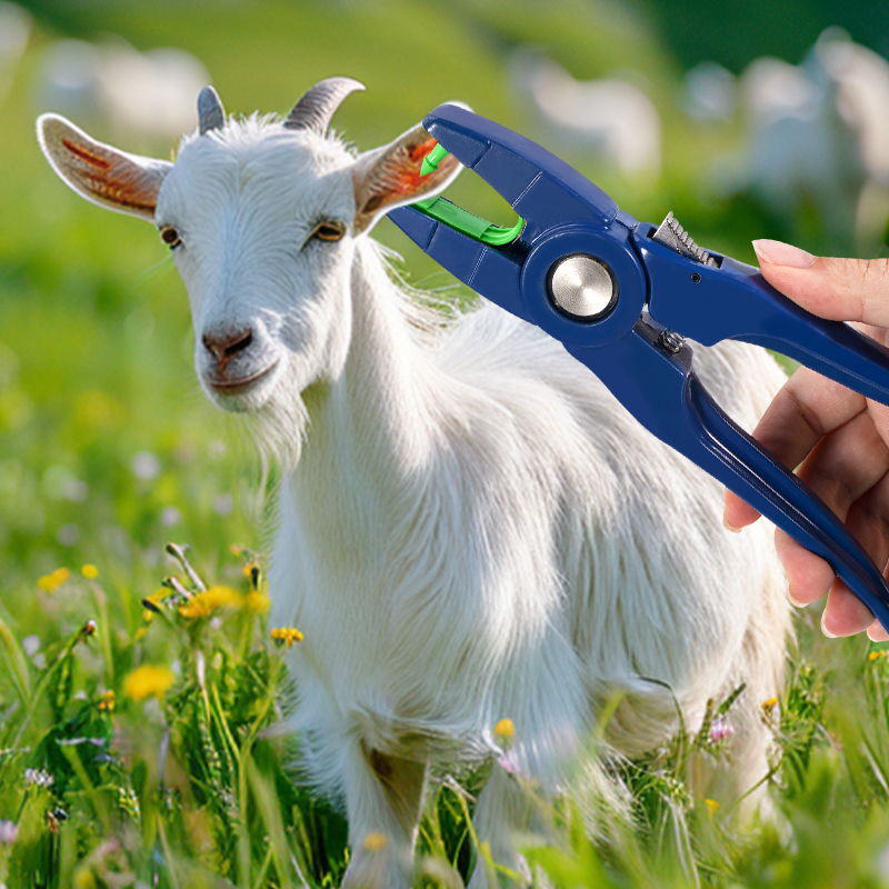 100個入り 羊用耳標/耳標プライヤー付き ヤギ用耳標 番号 - Livestock Ear Tag のレビューと価格