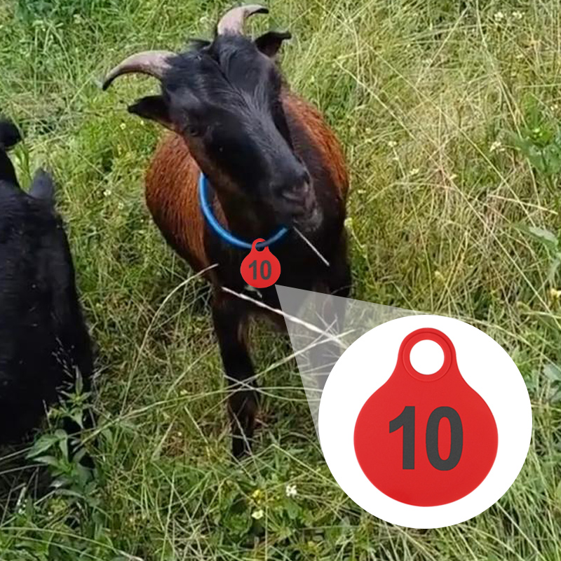 001-100 牛用TPU吊り下げタグ/銅針耳タグ家畜識別カ - Livestock Ear Tag のレビューと価格