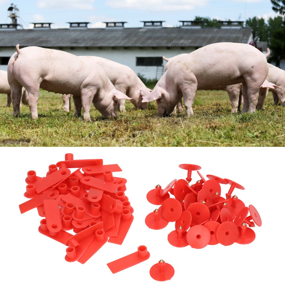 100 個手書き可能な空白の家畜耳タグ PP 耐久性のある動 - Livestock Ear Tag のレビューと価格