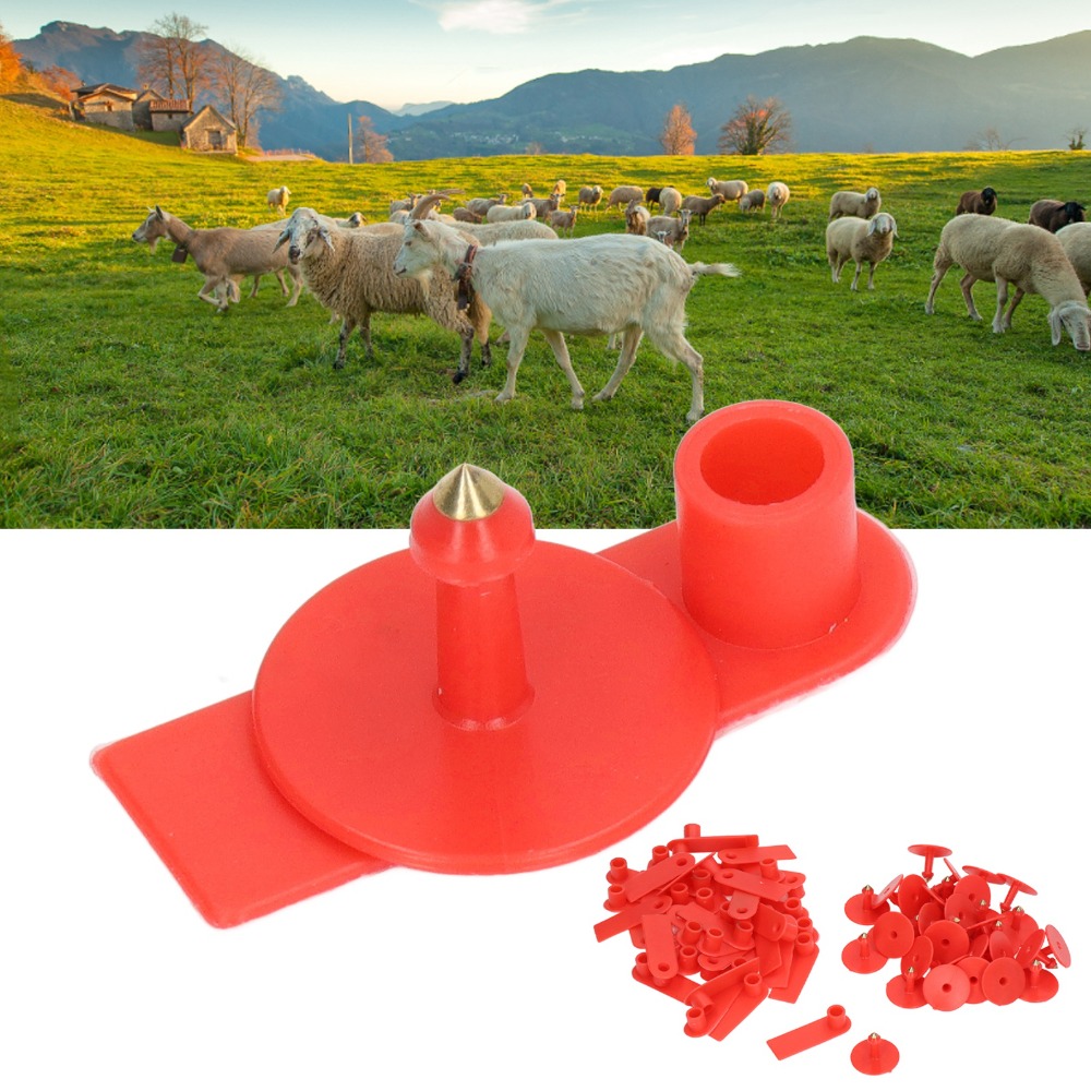 100 個手書き可能な空白の家畜耳タグ PP 耐久性のある動 - Livestock Ear Tag のレビューと価格